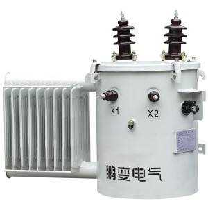 Single Phase Column Type On Oil-Immersed Power Transformer